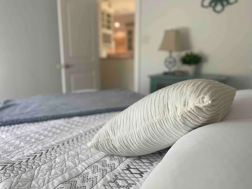 Serene Luxury Guesthouse - Image 1