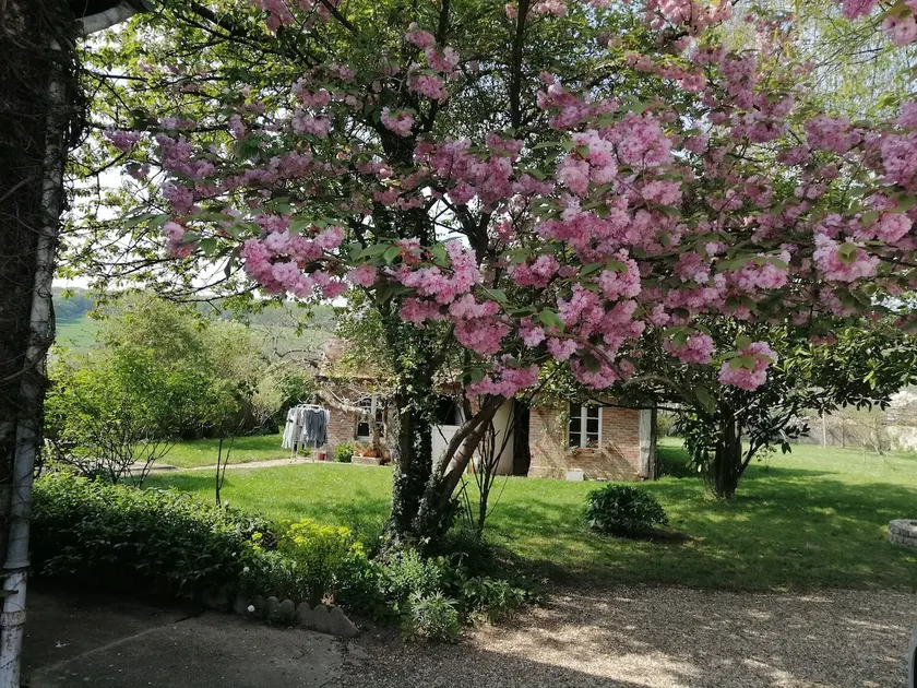 Charming house in the heart of the Iton Valley - Image 1