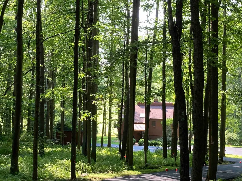 The Woodlands Retreat - Image 1