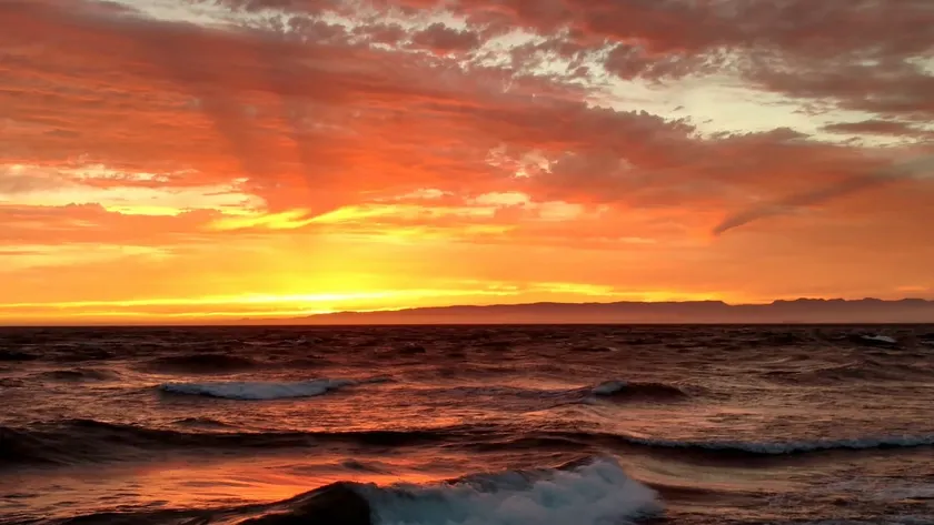 3 Blks to Seattle, Pvt. Beach/View, Hypoallergenic - Image 1
