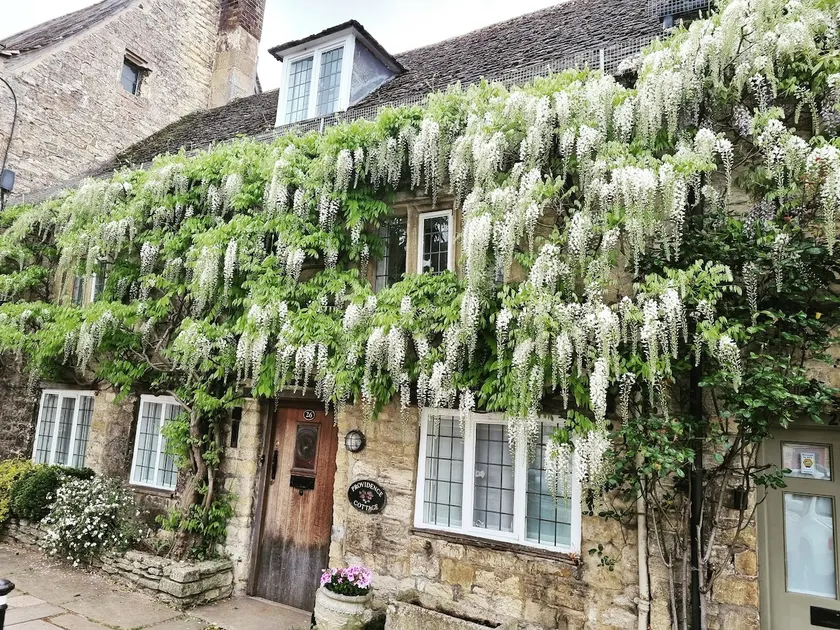 Charming 5-bedroom 17th Century Cotswold cottage - Image 1