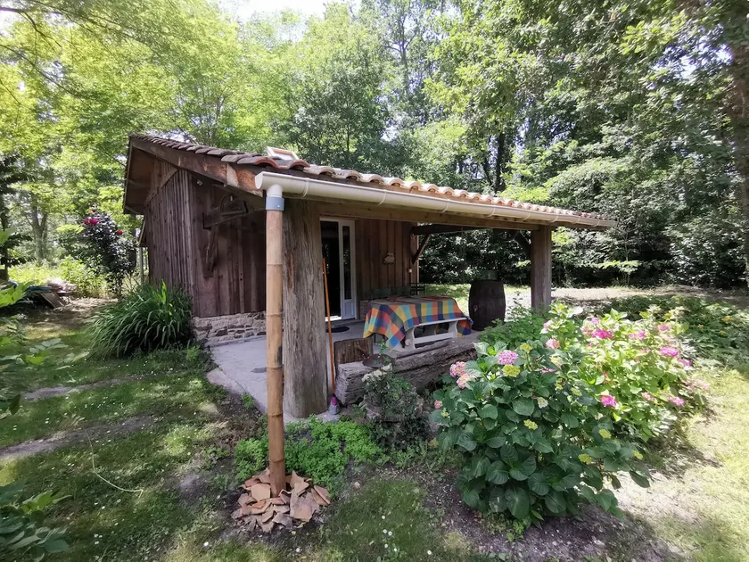 Warm wooden cottage in the heart of the forest - Image 1