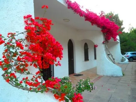 Beautiful Villa 100 mt. from the beach - Image 1