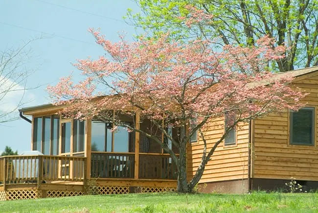 'Pond House' on Huge Horse/Cattle Farm - Image 1