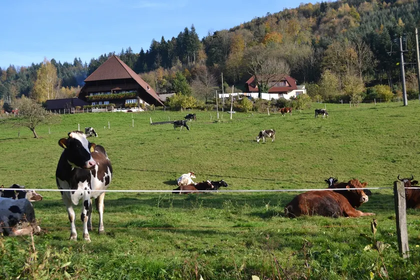 124 m² apartment on a farm in the Black Forest - Image 1