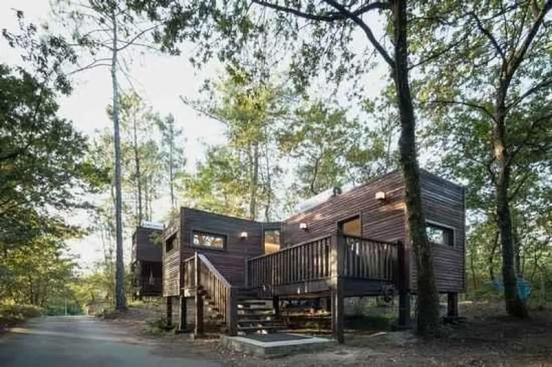 Nido en el Bosque Cabin (2 Pax) - Image 1