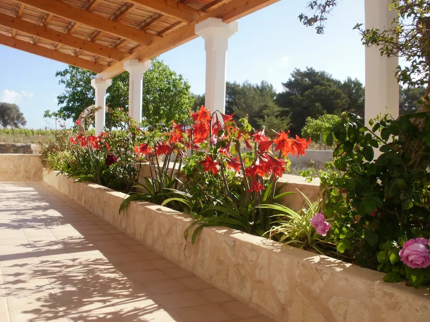 Finca Blanca Formentera - Image 1