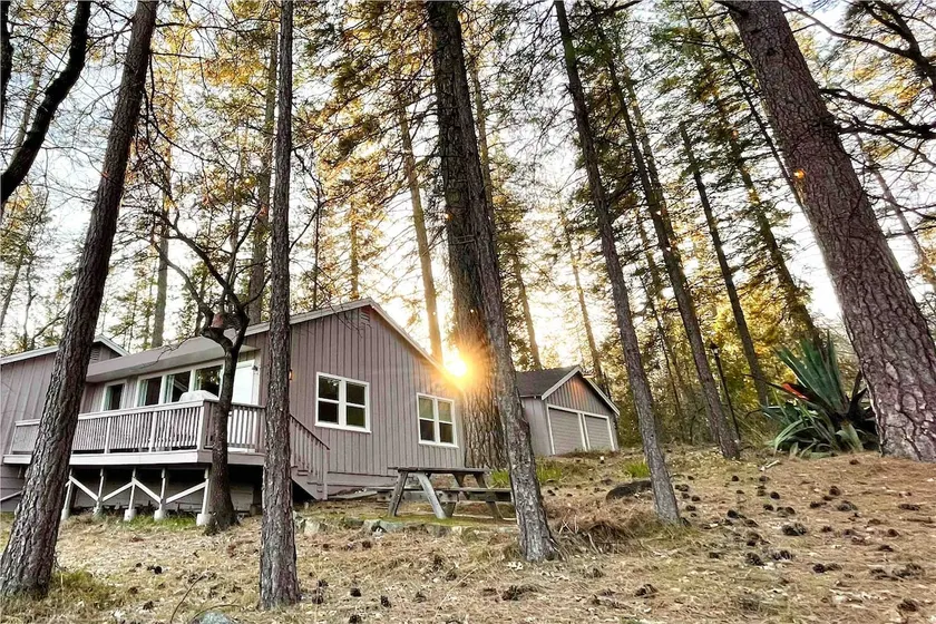 Dog-Friendly, Private Forest | The Timbers Cottage - Image 1