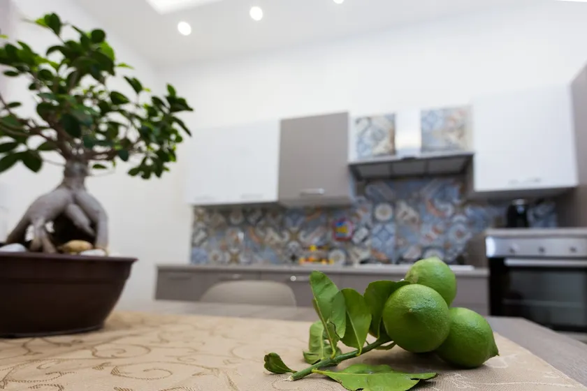 “Le Maioliche” Vacation Homes - Image 1