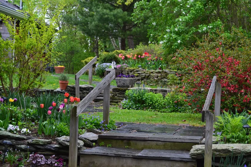 Farm Cottage w/ Donkeys, Fire Pit & Wood Stove - Image 1