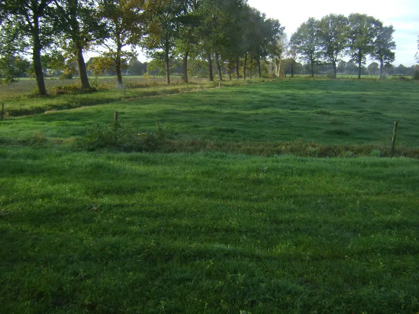 Jachthuis De Berken with charging station - Image 1