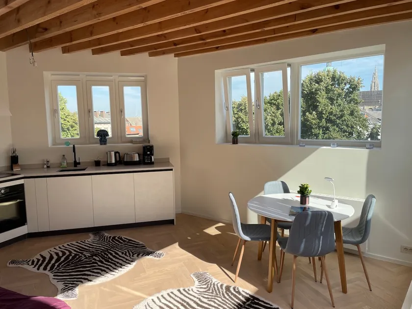 Unique Penthouse in City Center (with Terrace) - Image 1