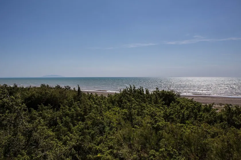 Beachfront – Alta Maremma - Image 1