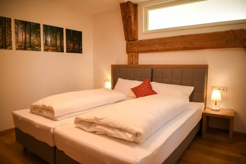 1 Titisee Apartment Black Forest Freiburg Nature - Image 1