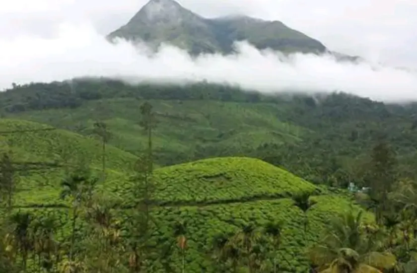 1 Bhk Peak View Villa Wayanad - Image 1