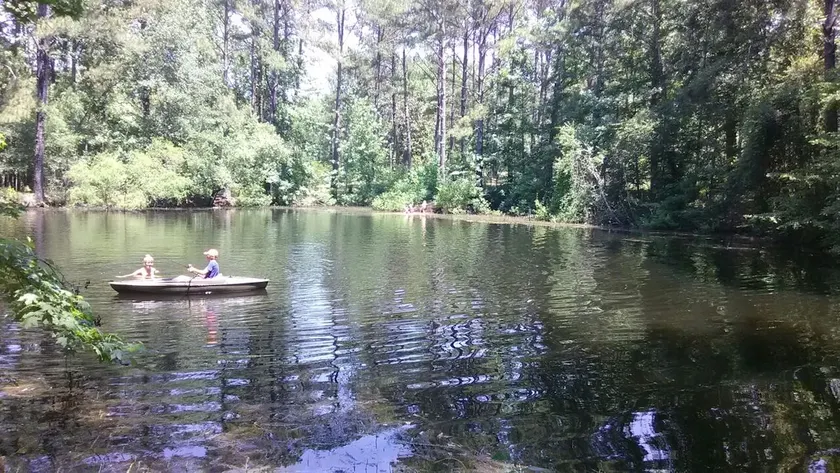 Cabin on the Pond - Image 1