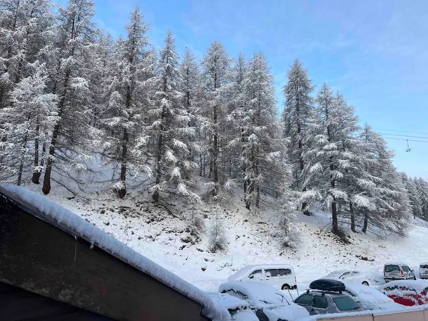 Cálido estudio de La Foux d´Allos - Image 1