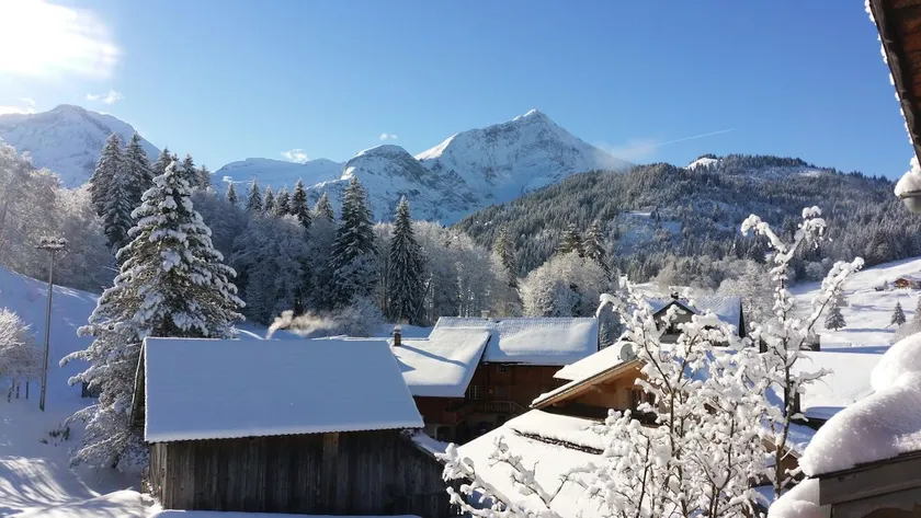 Chalet Wildhorn - Image 1