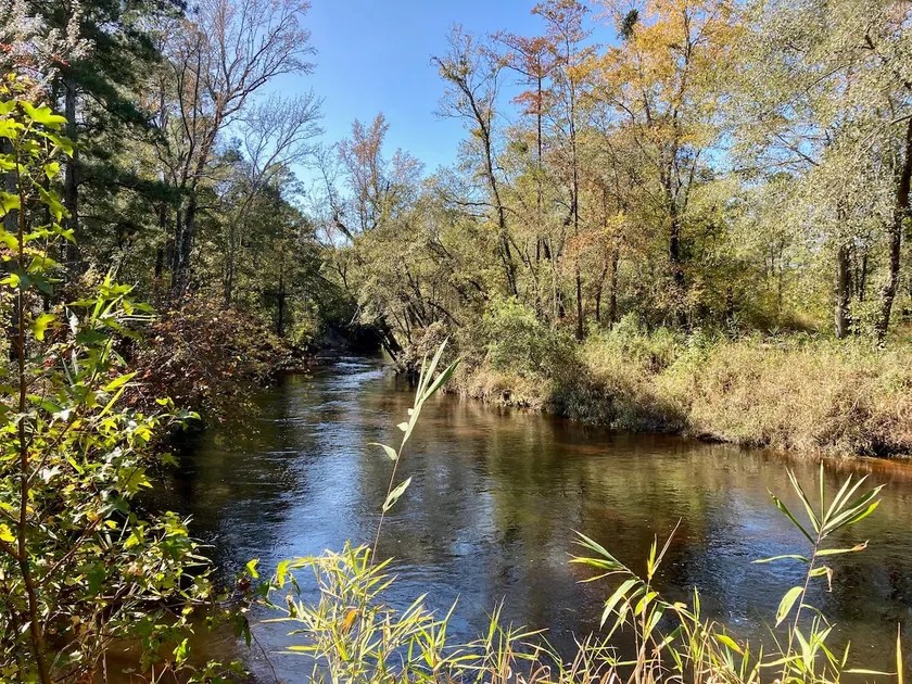 Unique Creekside 2 acre property in Hope Mills, NC - Image 1
