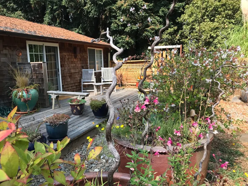 Casita In The Redwoods - Image 1