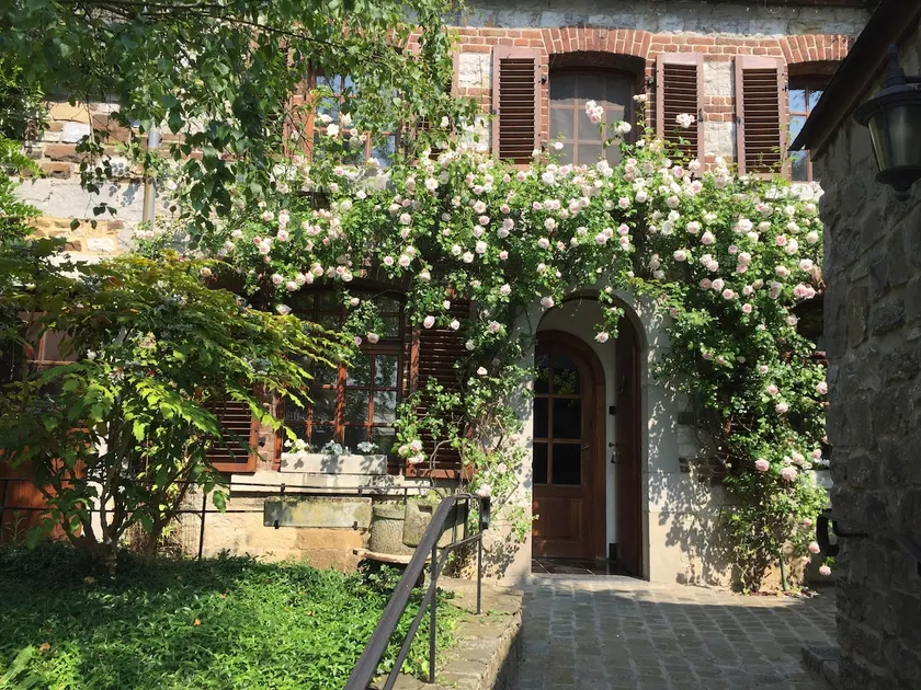 Le Chénia - Image 1