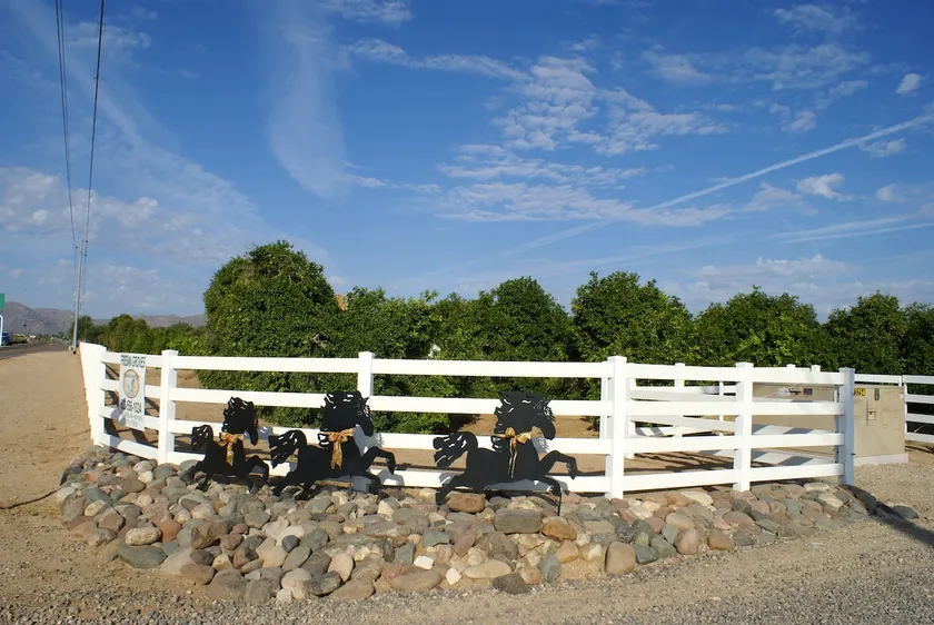 Looking for a unique Ranch Vacation in Surprise” - Image 1