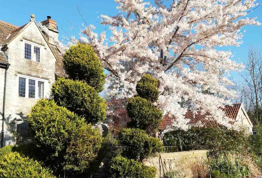 Charming 17th century Cottage - Image 1