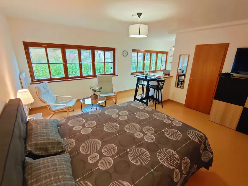 Bright Studio, Panoramic View! Nature/City - Image 1