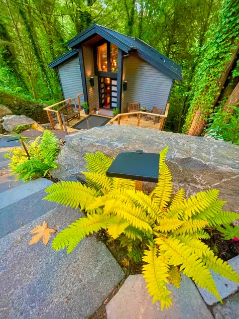 Secluded Tree House Chalet - Image 1