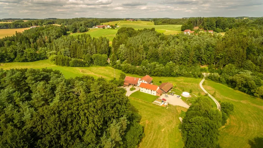 The travel mill. In the middle of nature. - Image 1