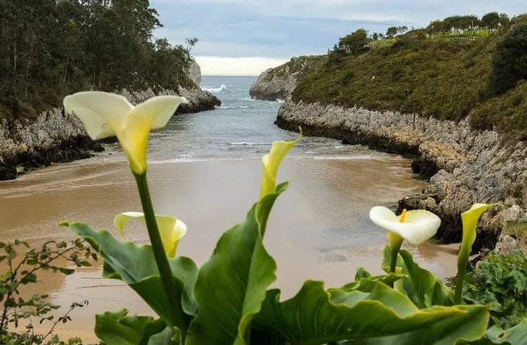 El Cueto del Sella - Costa y Senderismo - Image 1