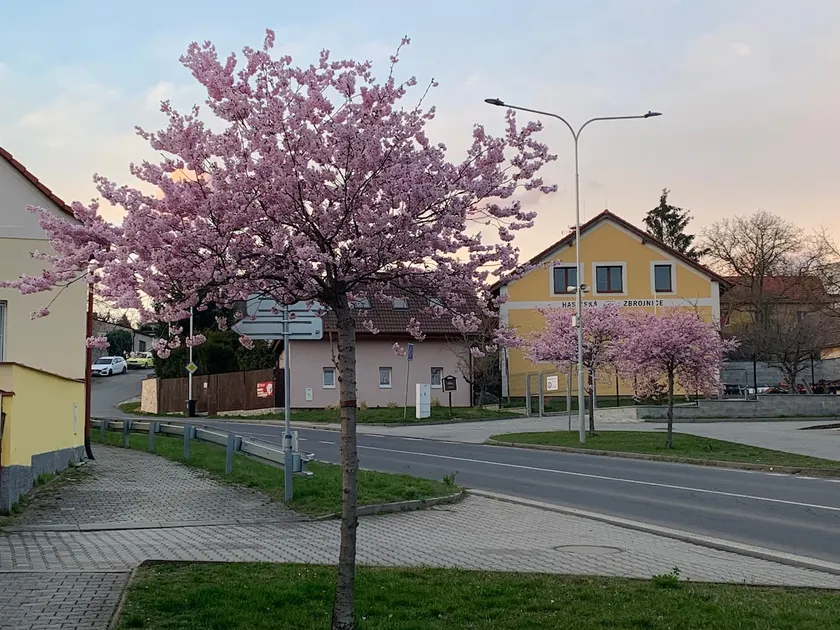 Apartment Na Vršku Plzeň Litice - Image 1
