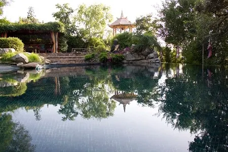 Oriental Garden - Image 1