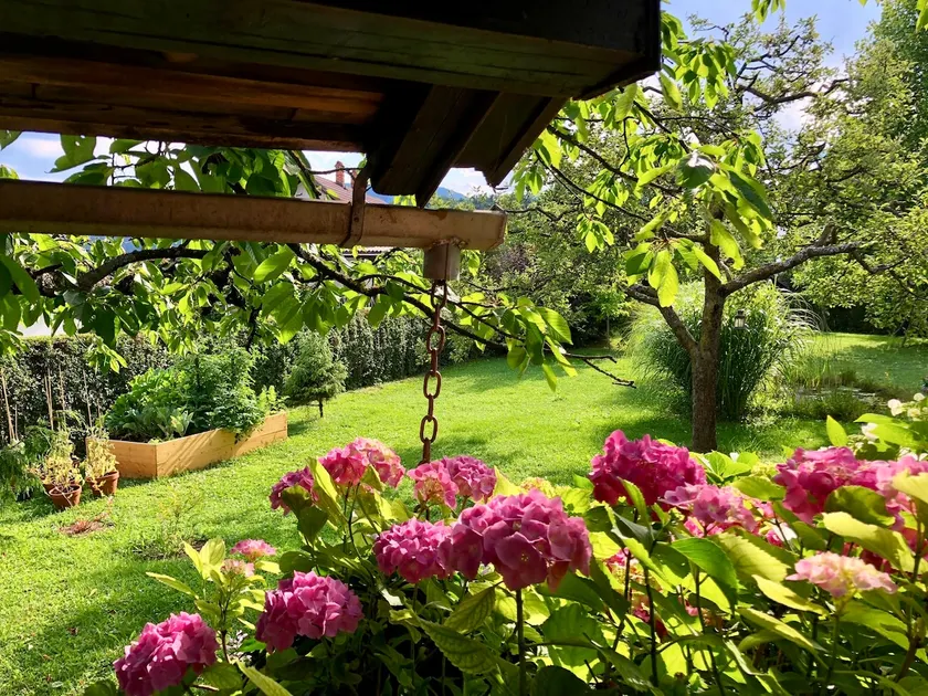 Castle&Garden view *Sauna* Yoga studio* Garden1 - Image 1