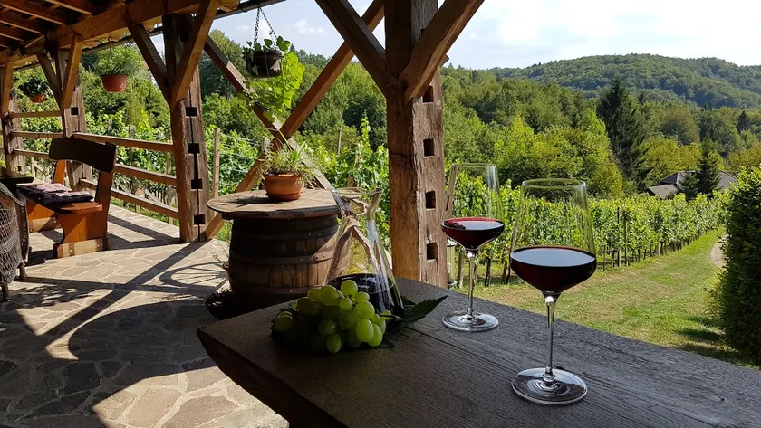 Vineyard Cottage Naja - Image 1