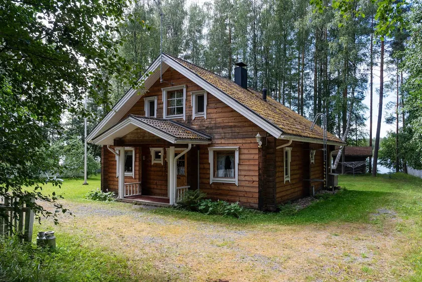 Birch grove - Image 1