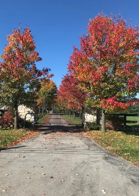 Horse Farm Creekside Cabin- 6 min to KY Horse Park - Image 1