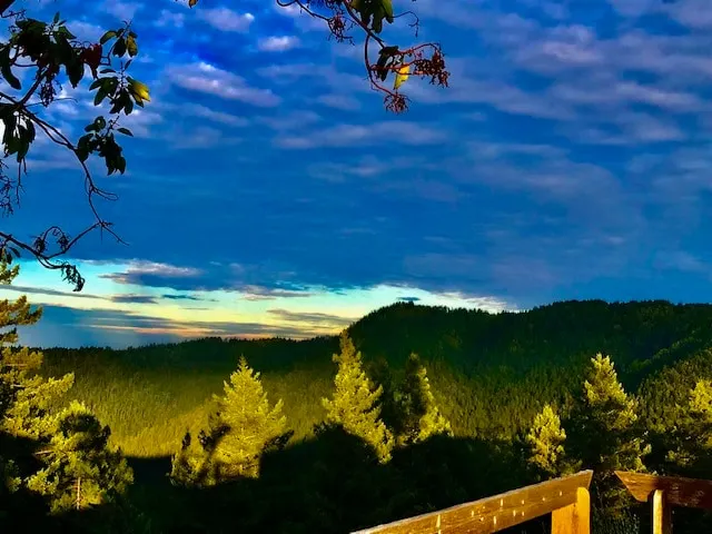 Ocean View Forest Retreat Beautiful Pristine Home - Image 1