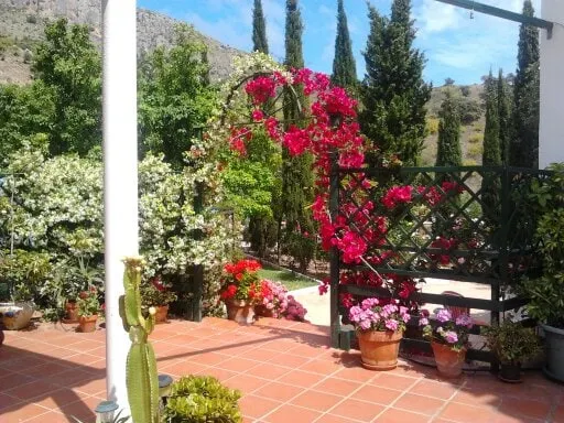 Landhaus in Malaga. Wi-Fi. Pool. In der Nähe von Stränden, Restaurants, Museen - Image 1