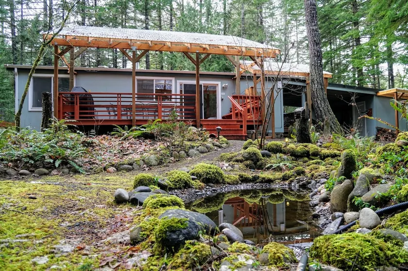 McKenzie cabin w/sauna near hot springs & trails - Image 1
