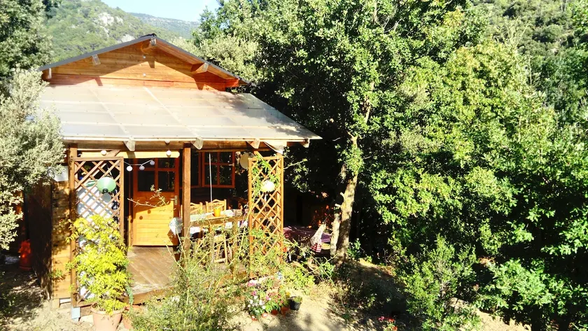 El Tiller Rustic Cabin - Image 1