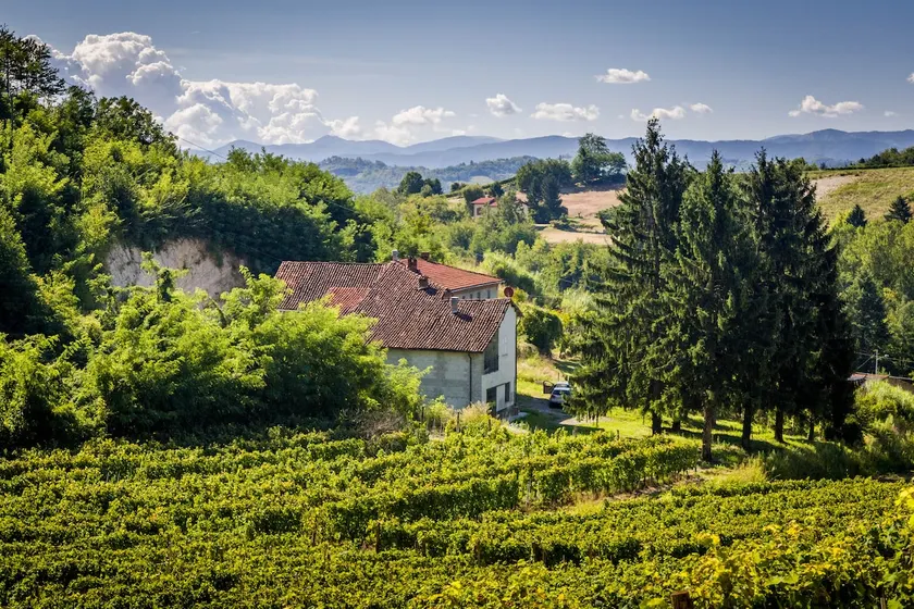 Charmantes Ferienhaus in den Weinbergen des Monferrato - Image 1