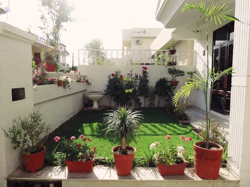 Little Palace - Image 1