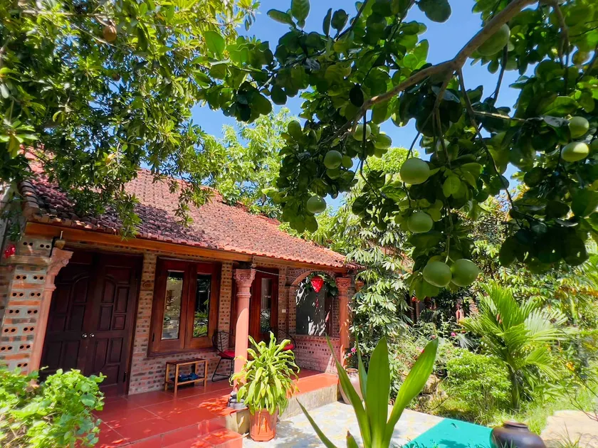 Ninh Binh Family Homestay-Tropical Bungallow - Image 1