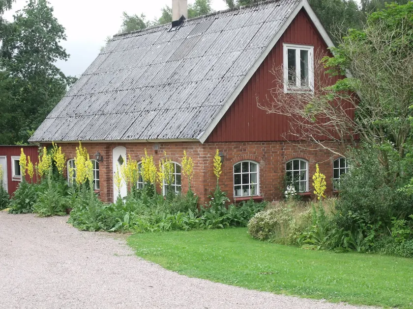Picturesque cottage in the beech forest - Image 1