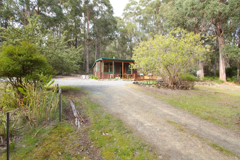 The Cabin - Surrounded by nature - Image 1