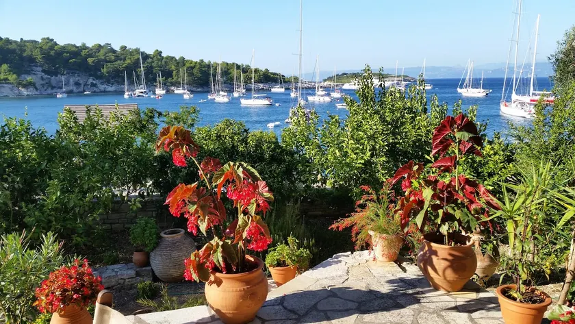 Villa Elisabetta (Just Steps From The Beach) - Image 1