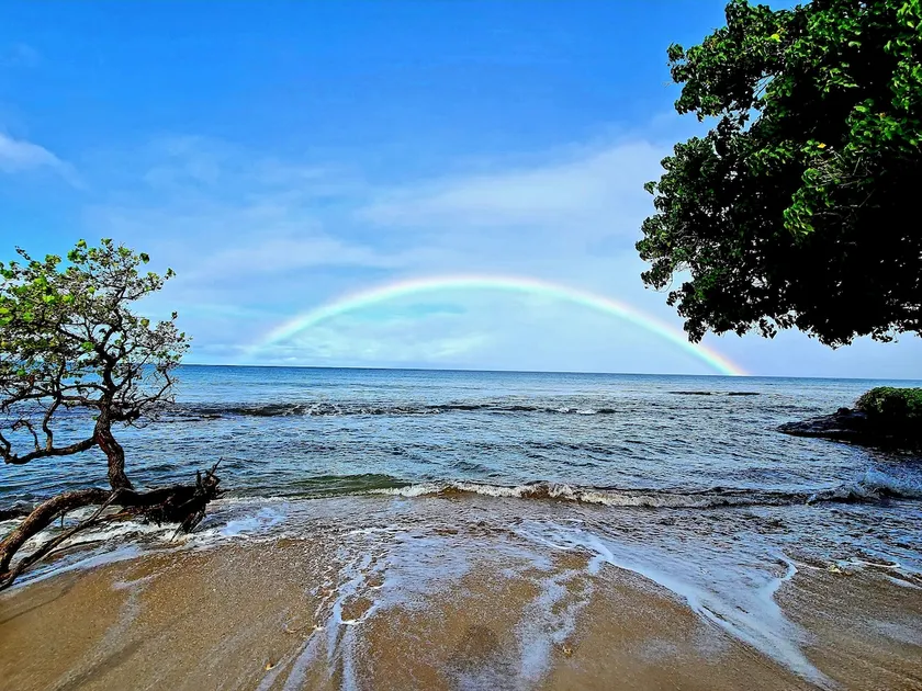 One bedroom Vacation Condo on West Maui - C2 - Image 1
