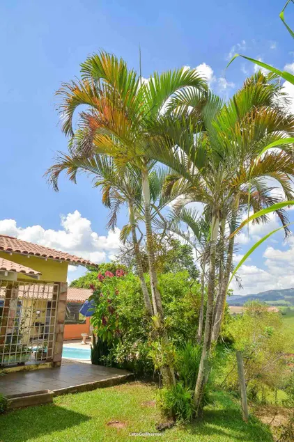You'll find the best view of Socorro here! - Image 1