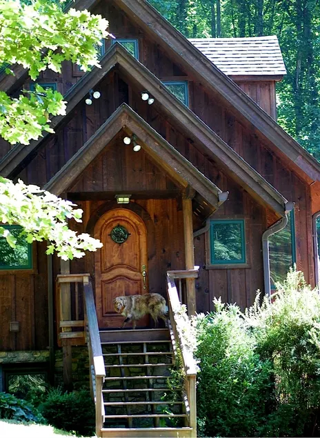The Cottage - Image 1